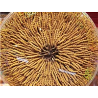 沙河源本地上门回收烟酒礼品电话