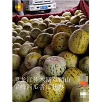 佳木斯哪里有代办百臣雷首西瓜的 