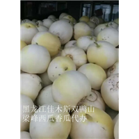 佳木斯代收西瓜找哪家 
