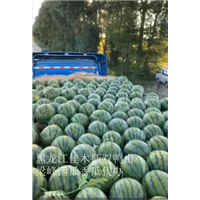 佳木斯西瓜代办 