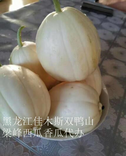 佳木斯代收西瓜怎么收费 