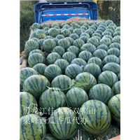 佳木斯西瓜代办代收 