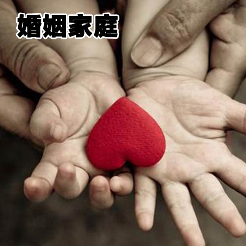 婚姻家庭