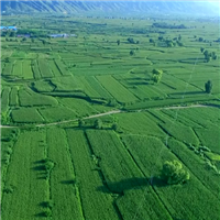 农业推广技术哪家强就去忻州找