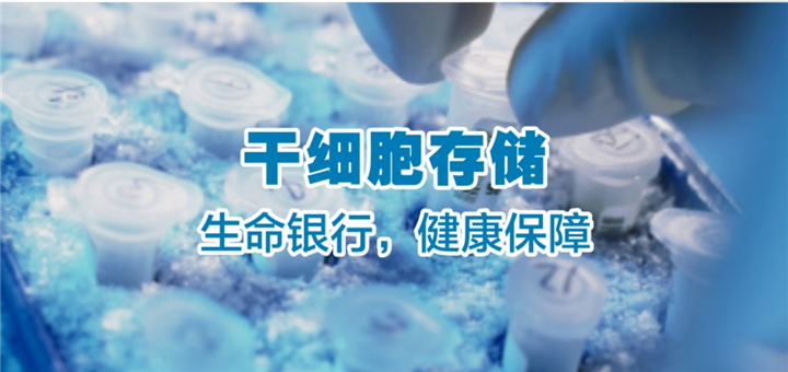 郑州承源细胞科技有限公司电话