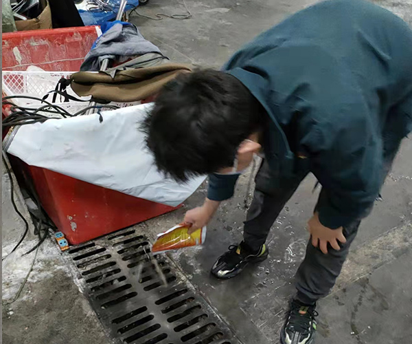 合肥灭老鼠公司