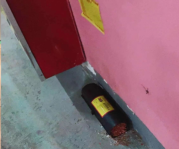 合肥杀虫公司电话