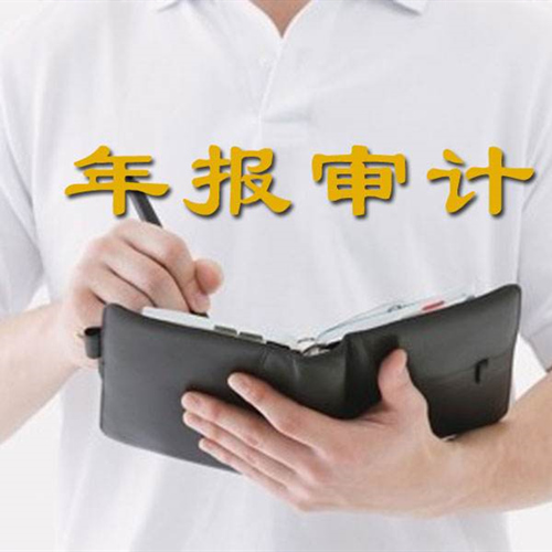 乌鲁木齐财务审计 
