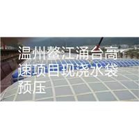温州试压水囊