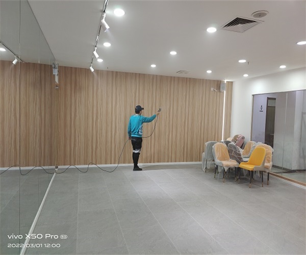榆林除甲醛公司