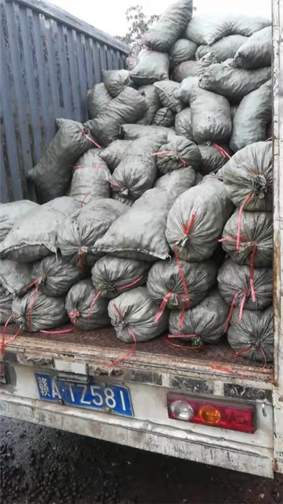 江西绿化陶粒批发