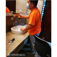 深圳龙华灭蟑螂灭虫