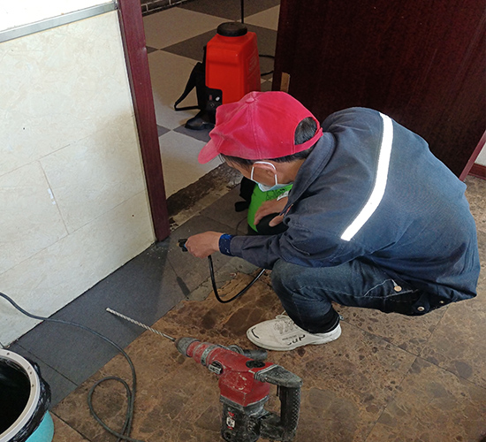 淮北灭老鼠公司分享杜绝老鼠进屋的方法