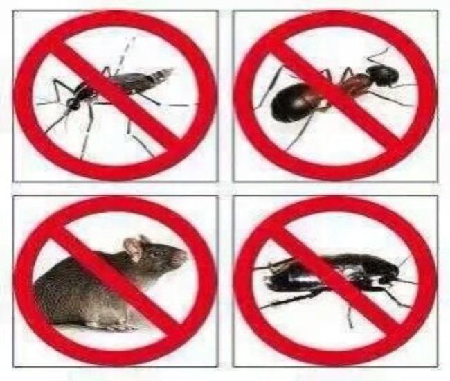 淮北市灭老鼠灭蟑螂公司