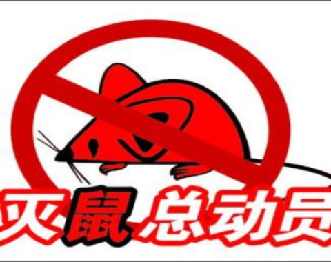 淮北市灭老鼠公司电话