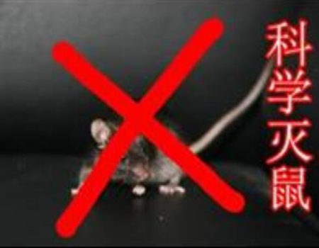 淮北市灭老鼠灭蟑螂公司
