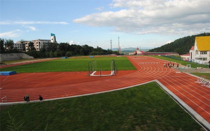 PVC地板厂家