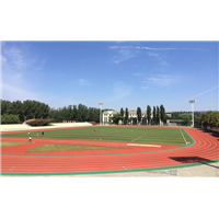 马鞍山人造草坪