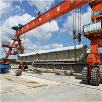 福建福州80吨24米跨9米高四对轮胎吊出租