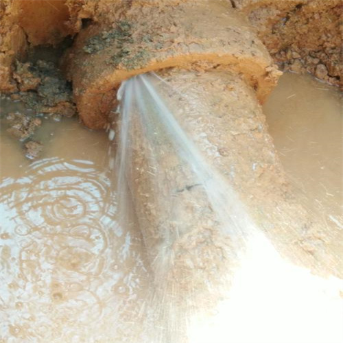 大连漏水检测维修家政服务网