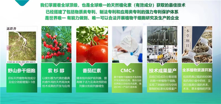 皇草密码实验室--植物干细胞株