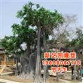 新疆仿真榕树价格-新疆仿真榕树出售 