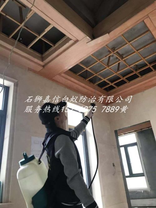 我们是石狮**家白蚁防治公司-石狮灭白蚁