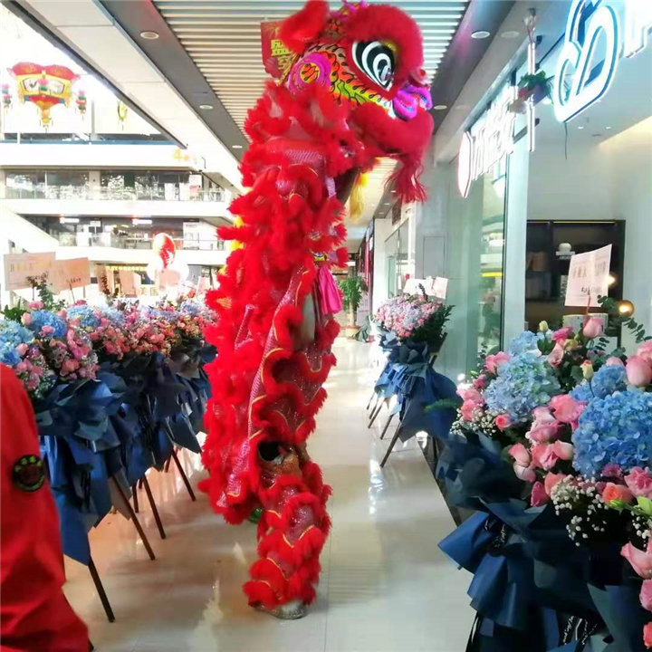 东莞醒狮队东莞醒狮东莞开业庆典醒狮表演