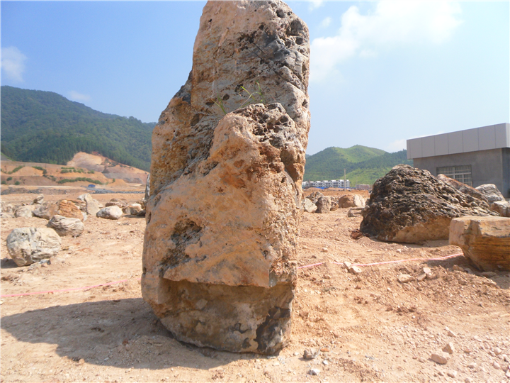 九龙壁-福建九龙壁出售-九龙壁价格 