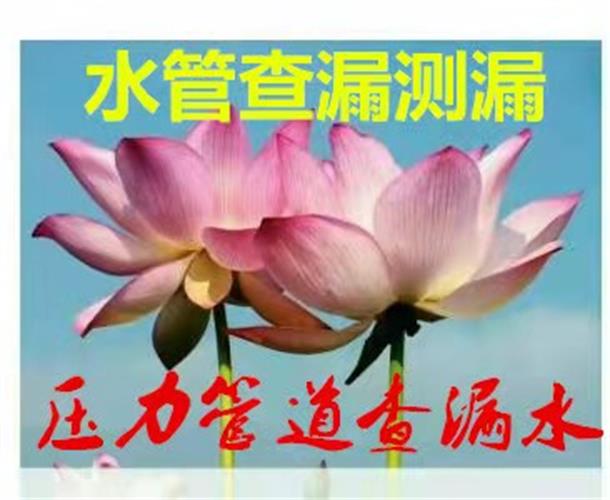 乾安查漏水