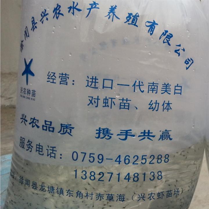 大棚温室养殖南美白对虾模式 