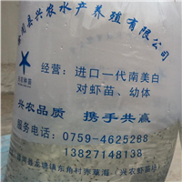 大棚温室养殖南美白对虾模式 