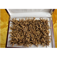天津回收冬虫夏草