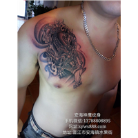 安海洗纹身06 