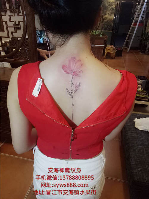 安海洗纹身03 