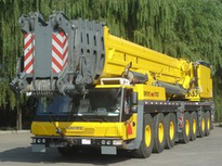 新昌吊车租赁 15925838877 