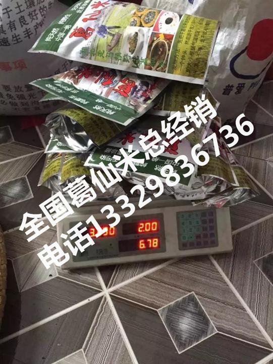 葛仙米|野生葛仙米-全国葛仙米总经销