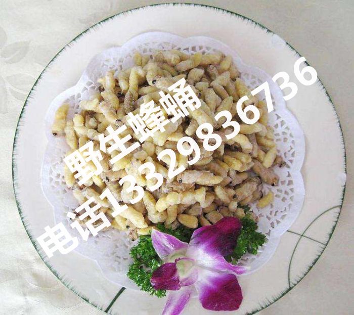 野生蜂蛹|湖北野生蜂蛹|恩施野生蜂蛹