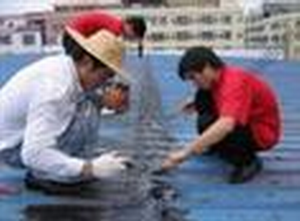 徐州哪家防水补漏质量好