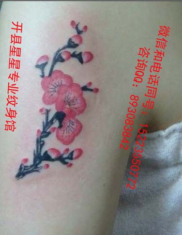 开县哪里有纹身,开县纹身价格**, 