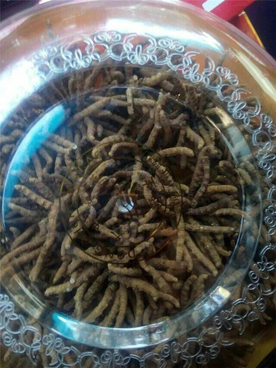 青岛回收老酒！青岛礼品回收 