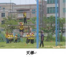 深圳//大鹏新区“拓展培训”**策划 