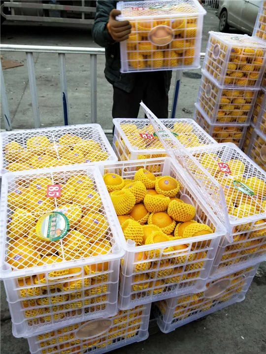 贵阳水果怎么样 