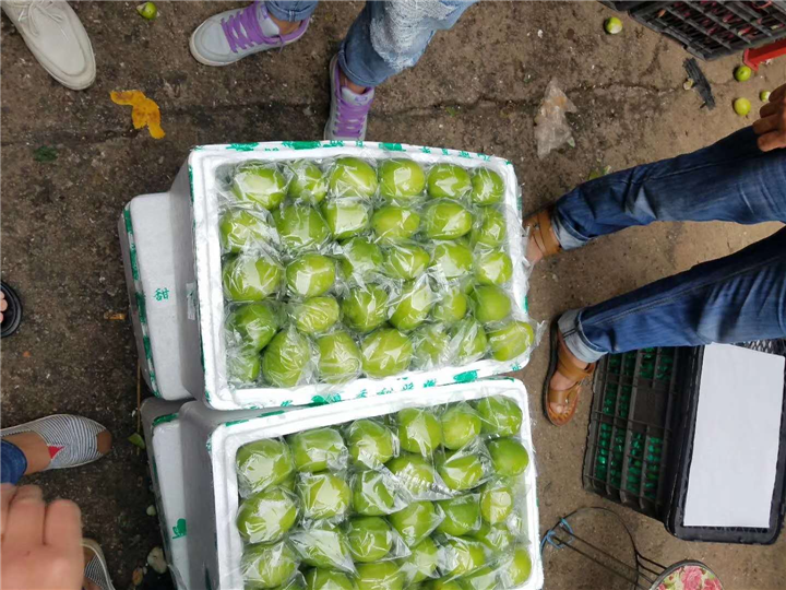 贵州水果代办 