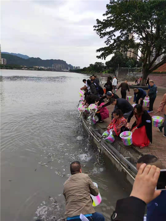 乐山鱼苗 四种鲆鲽鱼类雌核发育及性别控制技术研究