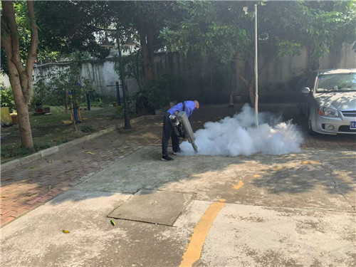 南宁市白蚁防治价格
