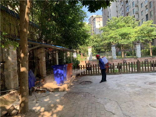 南宁白蚁防治公司