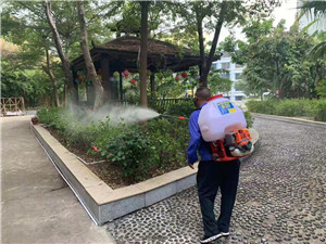 南宁专业灭鼠