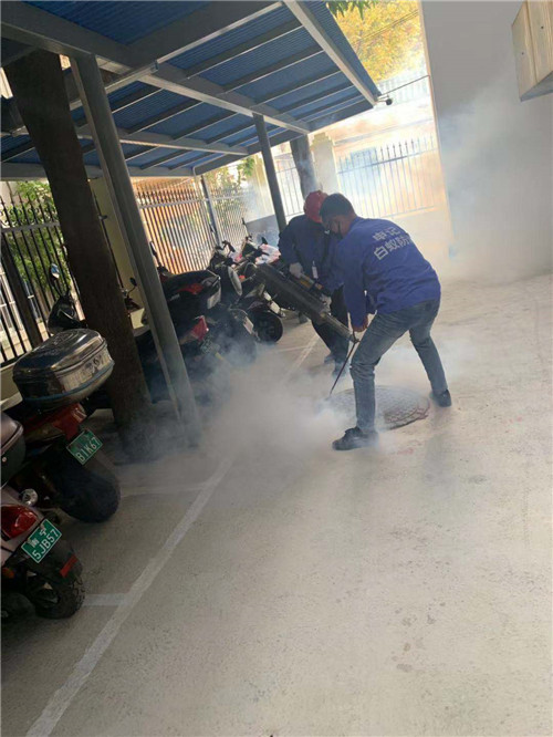 南宁白蚁防治36