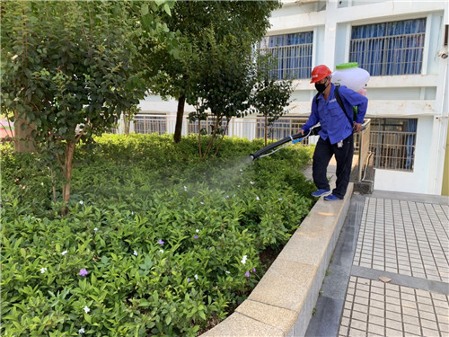 南宁白蚁防治公司